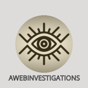 ANALOG WEB INVESTIGATIONS